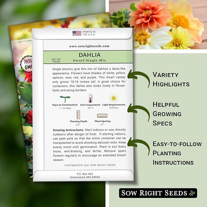 Sow Right Seeds - Dwarf Single Mix Dahlia Flower Seeds for Planting - Non-GMO Heirloom Packet - Rare Colors to Attract Pollinators - Cut and Come Again - Symmetrical Blooms Great for Bouquets (3)