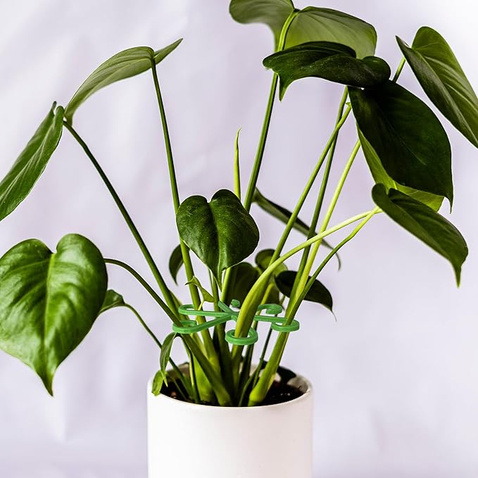 12pcs Plant Stem Support Holder - Indoor Plants Climber Support Structures Accessories