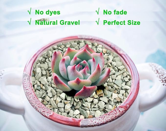 5lb Succulents and Cactus Green Zeolite, Décor & Additive Rocks, Natural Decorative Gravel for Bonsai, Fairy Gardening, DIY Projects, Vases Fillers, Terrarium
