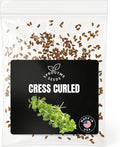 Fall & Winter Cress Curled Seeds for Indoor & Outdoor Planting – 500+ Non-GMO Heirloom Peppery Microgreens, High Germination (Lepidium sativum)