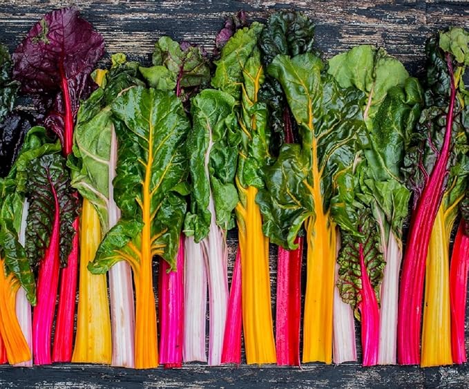 Rainbow Swiss Chard Seeds for Planting Heirloom Non GMO Packets 50 Seeds – Plant & Grow Swiss Chard Home Outdoor Garden, Great Gardening Gift - 2 Packets