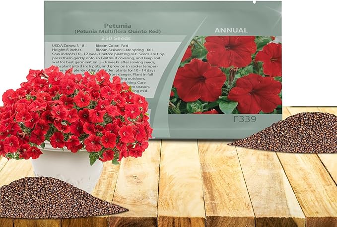 Outsidepride Red Multiflora Petunia Seeds - 250 Pcs. Annual, Compact, Flower Seeds for Planting, Vibrant Blooms, Ideal for Garden Beds, Hanging Baskets & Container Displays