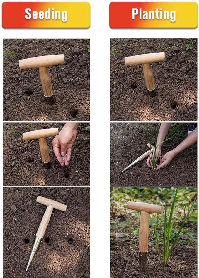 Gardtech Hand Dibber with Wooden Handle, Chrome Coated Stainless Steel Head - Lightweight Sturdy Hand Held Bulb Planter for Tulip Daffodil Crocus Garden Tool (Dibber)