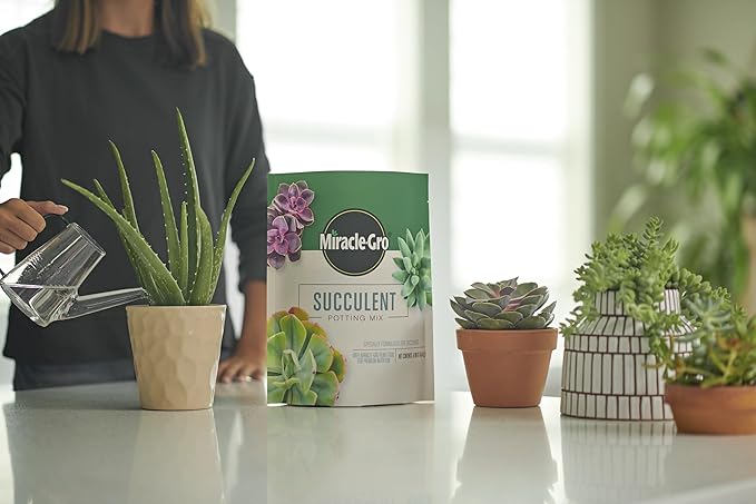 Miracle-Gro Succulent Potting Mix - Potting Soil Mix for Indoor Succulents, Aloe Vera and More, Made with Miracle-Gro Plant Food, 4 qt. (3-Pack)