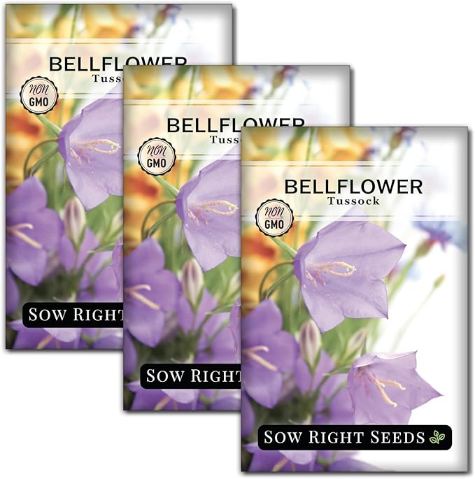 Sow Right Seeds - Tussock Bellflower Seeds for Planting - Blue Campanula Carpatica Perennial- Non-GMO Heirloom Packet With Instructions to Plant in Your Garden - Bell Shaped Blooms Outside Gardens (3)