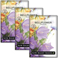 Sow Right Seeds - Tussock Bellflower Seeds for Planting - Blue Campanula Carpatica Perennial- Non-GMO Heirloom Packet With Instructions to Plant in Your Garden - Bell Shaped Blooms Outside Gardens (3)