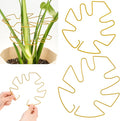 Plant Stem Support 2 Pack, Adjustable Metal Monstera Plant Support Small & Large, Unique Design Plant Supports for Indoor Plants Moss Pole Growth (Gold)
