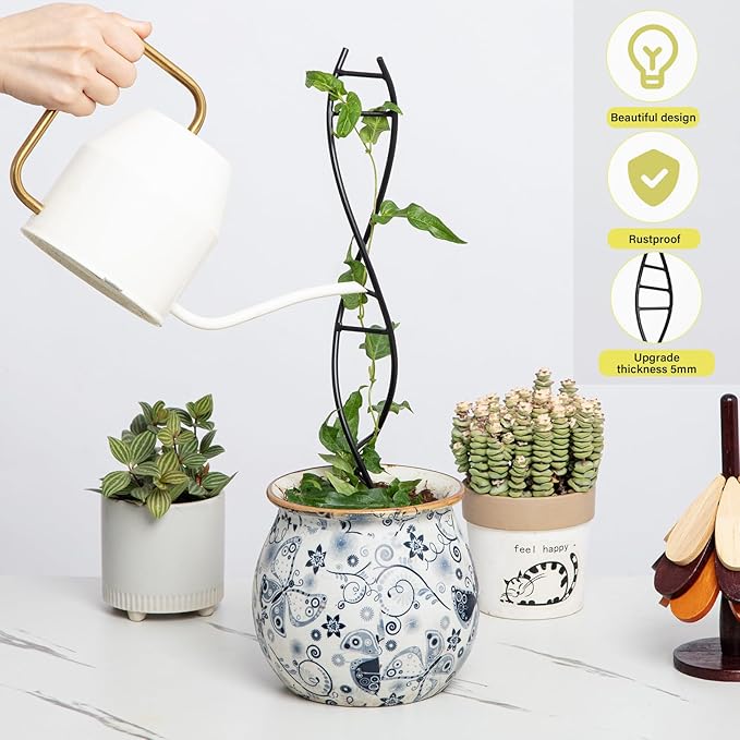 3 Pcs Indoor Plant Trellis Set - Black Metal DNA Design for Potted Plants, Small Houseplants & Climbing Support - Modern Home Decor & Vertical Garden Display - Perfect for Indoor & Outdoor Use