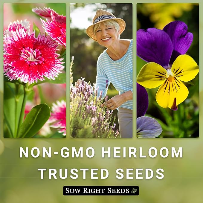 Sow Right Seeds - Wildflowers Seeds Mix for Planting in West - Non-GMO Heirloom Varieties to Grow a Wild Flower Garden - Perennial and Annual Flowers to Attract Pollinators - Colorful Blooms (1)