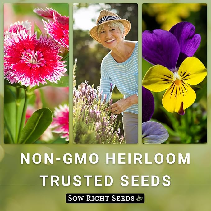 Sow Right Seeds - Wildflowers Seeds Mix for Planting in Northeast - Non-GMO Heirloom Varieties to Grow a Wild Flower Garden - Perennial and Annual Flowers to Attract Pollinators - Colorful Blooms (1)