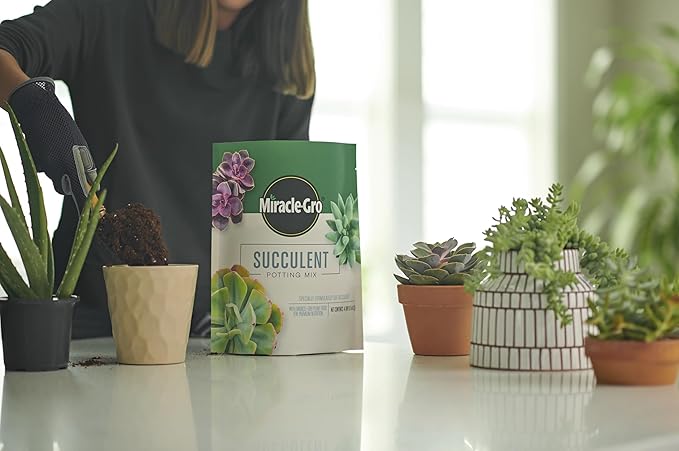 Miracle-Gro Succulent Potting Mix - Potting Soil Mix for Indoor Succulents, Aloe Vera and More, Made with Miracle-Gro Plant Food, 4 qt. (3-Pack)