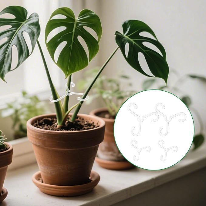 BOXOB 4pcs Plant Stem Supports, Reusable Houseplant Acrylic Stabilizer Grapple Holder 2 Sizes Leaf Support for Thriving Growth Indoor/Outdoor Monstera & Climbing Plants Flowers