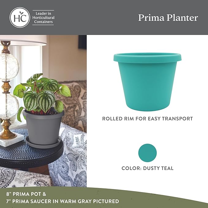 The HC Companies Prima Round Plastic Plant Pot w/Rolled Rim - Lightweight & UV Resistant Flower Pot for Herbs & More - Outdoor & Indoor Plant Pots w/Drainage (8 inch, Dusty Teal, Pack of 1)