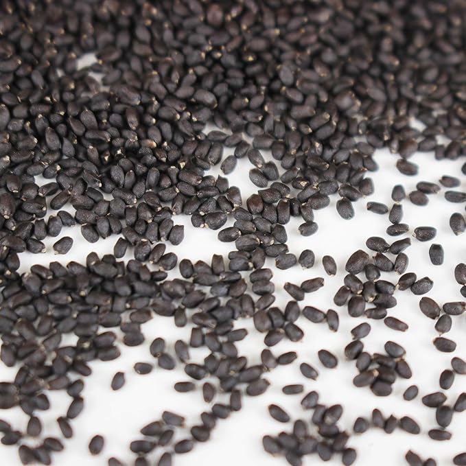 Genovese Basil Microgreens Seeds - 4 oz ~ 64,000 Seeds - Non-GMO Bulk Seed for Growing Micro Herbs, Indoor Gardening, Herb Garden, Micro Greens