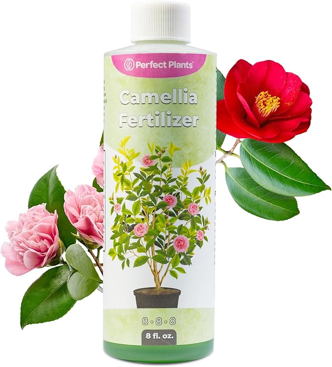 Liquid Camellia Fertilizer by Perfect Plants | The Best Fertilizer for All Outdoor Camellia Shrub Plant to Enhance Blooms & Boost Colors | Improves Missing Flower Nutrient Levels