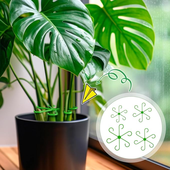 Chunful 24 Pcs Plant Stem Support 4 Sizes Climbing Houseplant Stem Holders, Plastic Reusable Flower Trellis Hook Plant Care Growth Accessories for Flower Plants Indoor Outdoor