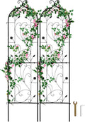 VEVOR Garden Trellis for Climbing Plants, 60 x 15 in, 2 Packs Rustproof Metal Garden Flower Trellis, Outdoor Climbing Rose Trellis Cucumbers Support, Decorative Clematis Trellis for Courtyards Lawns
