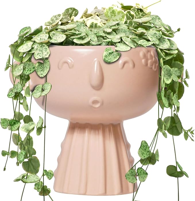 Face Flower Pots - 7 Inch Ceramic Pots for Plants Indoor Outdoor, Decorative Head Planter, Small Cute Succulent Planters with Drainage Hole, Room House Decor, Gifts for Plant Lover, Matte Pink