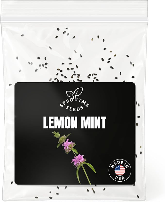 Fall & Winter Lemon Mint Seeds for Indoor & Outdoor Planting – 200+ Non-GMO Heirloom USA-Grown Fragrant Herb for Tea & Culinary Use with High Germination (Monarda citriodora)