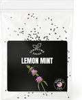 Fall & Winter Lemon Mint Seeds for Indoor & Outdoor Planting – 200+ Non-GMO Heirloom USA-Grown Fragrant Herb for Tea & Culinary Use with High Germination (Monarda citriodora)