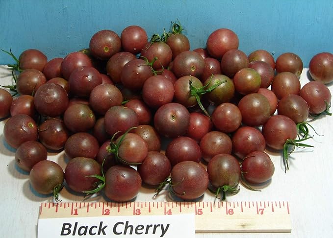 Seeds Vegetable Black Cherry Tomato Heirloom for Planting Non GMO - 25 Seeds