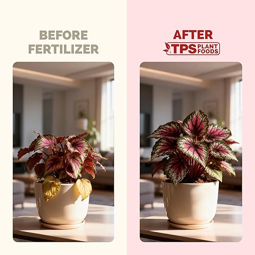 Begonia Fertilizer – Liquid Plant Food for More Blooms, Vibrant Color & Healthy Leaf Growth, 8 oz