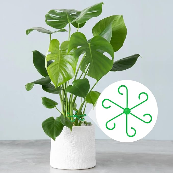 8pcs Climbing Houseplant Supports, 4 Sizes Plastic Plant Holders Reusable Flower Growth Stakes Trellis Stem Growth Accessories for Garden