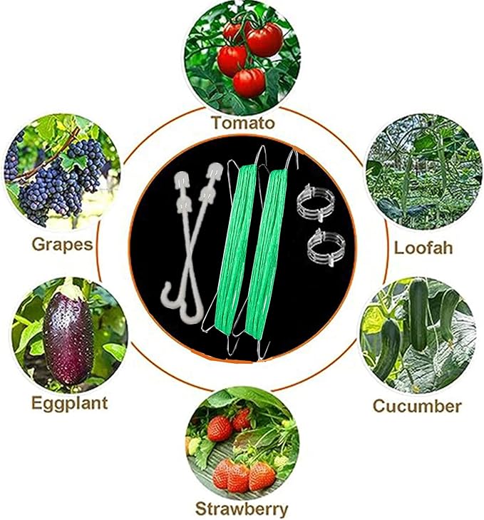 60pcs Tomato Hooks With String, Tomatoes Holder Hooks with 32.8ft Twine & Plant Support Clips, Vegetable Support J-Hook Clips Climbing Vine Crop Trellis Hooks for Vegetable Plant Fruit Flower (Green)