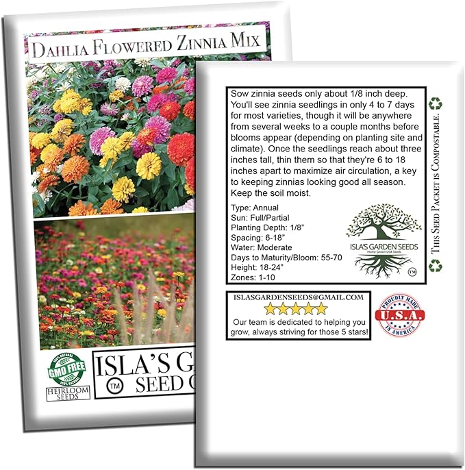 Dahlia Flowered Zinnia Mix Seeds (Zinnia elegans) – 500+ Non-GMO Heirloom Seeds by Isla’s Garden Seeds, Stunning Large Blooms, Vibrant Cut Flowers, Attracts Pollinators, Easy to Grow, Gardening Gift
