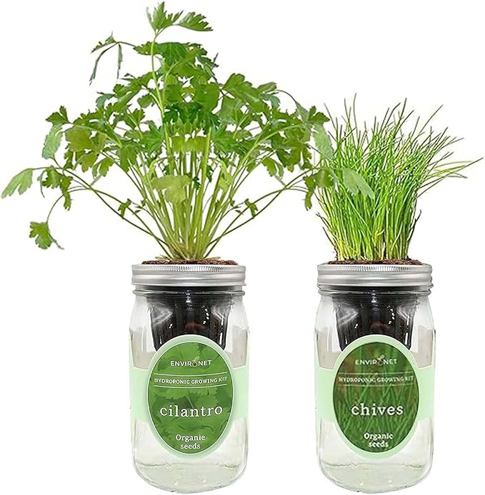 2-Pack Hydroponic Mason Jar Herb Garden Kit, Indoor Herb Garden Self-Watering Starter Kit, New Christmas Gift for Mom (Cilantro,Chives)
