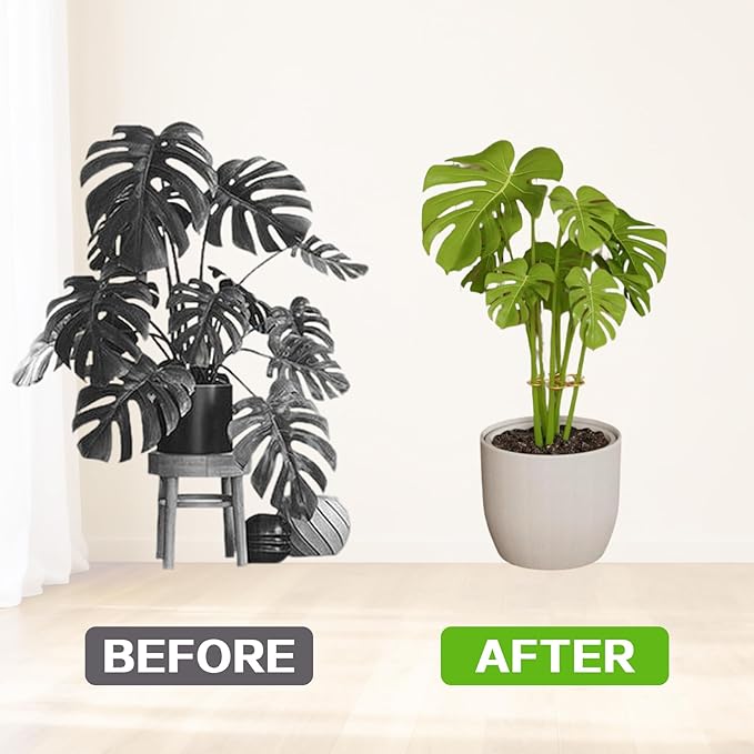 Plant Stem Supports, 5 Pack Iron Monstera Plant Support for Indoor Plants - Plant Stabilizer Stake Holder for Climbing Plants, Monstera Deliciosa, Pothos, Vine for Stable Growth