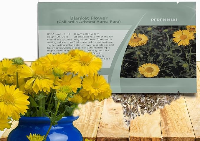 Outsidepride Gaillardia Aristata Aurea Pura Blanket Flower Seeds for Planting - 2000 Pcs Perennial Wildflower Seeds, Drought-Tolerant for Xeriscaping, Borders, Pollinator Gardens, or Wildflower Mixes