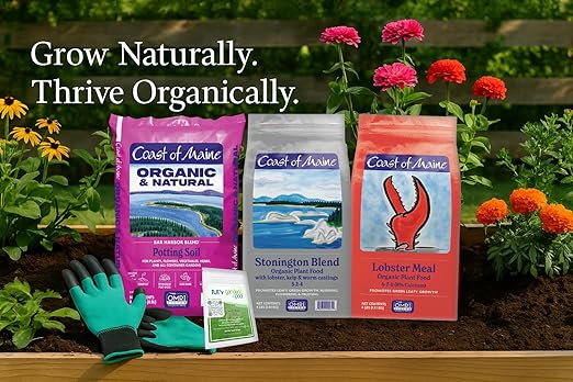Coast of Maine LM6000 Lobster Meal Plant Food 4 LB – Natural Organic Fertilizer with Calcium for Soil Health with My Garden Pool Soil Test Strips & Gardening Claw Gloves