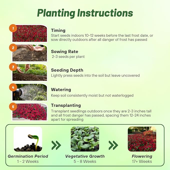 Outsidepride Red Velour Tidal Wave Petunia Seeds - 30 Pcs Annual, Vibrant Blooms, Spreading Petunia Seeds for Planting Outdoors, Ideal for Pollinator-Friendly Garden Beds & Containers (AAS Winner)