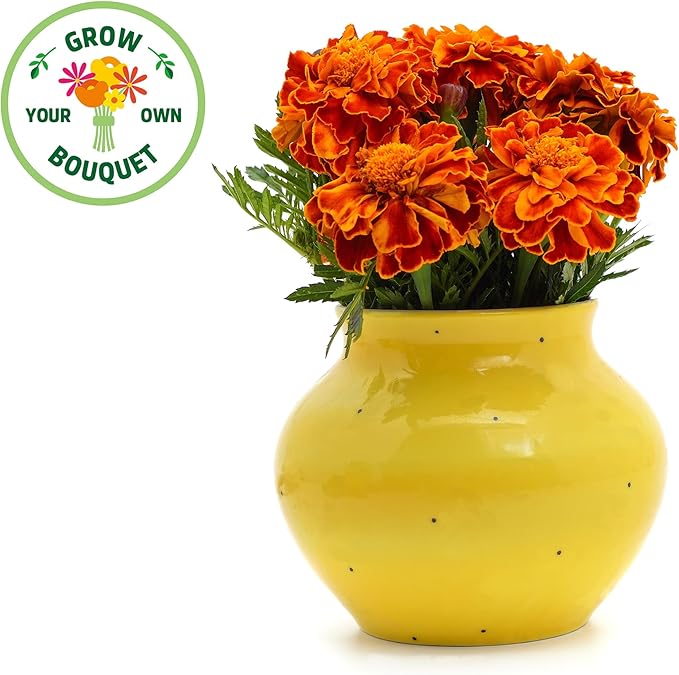 Back to The Roots Organic Marigold Flower Grow Kit with Plantable Starting Pot Soil and Seeds