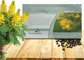 Outsidepride Wild Senna Seeds - 100 Pcs. Perennial, Low Maintenance & Pollinator Friendly, Herb Seeds for Planting Tall, Vibrant Yellow Blooms for Garden Beds, Borders & Wildflower Meadows