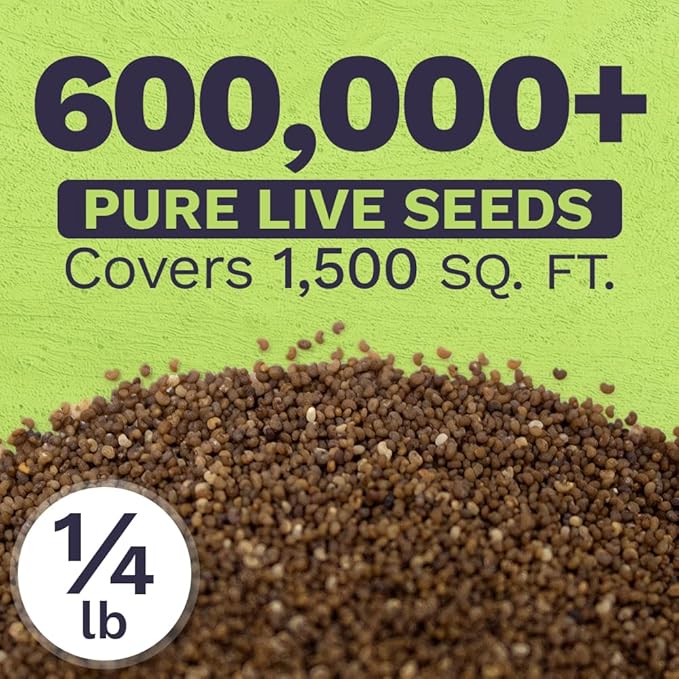 Shirley Poppy Seeds – Mixed Colors – Bulk Quarter Pound Bag – Over 800,000 Open Pollinated Non-GMO Wildflower Seeds – Papaver rhoeas