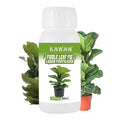 10oz Fiddle Leaf Fig Fertilizer Liquid - Organic Microbial Probiotic Plant Food for Ficus Lyrata - Promotes Roots & Greener Leaves