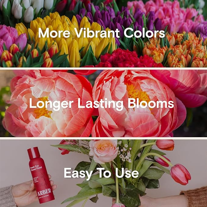 Arber Fresh Cut Flower Food – Floral Preservative & Nutrient Mix for Fresh Cut Flowers – Quick Dip, Vase Spray & Crystal Flower Care – Rose Food & Plant Supplies – 4 fl oz Liquid Formula
