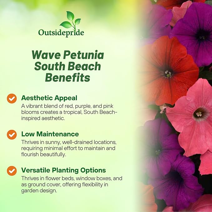 Outsidepride South Beach Mix Easy Wave Petunia Seeds - 15 Pcs. Annual, Compact & Spreading Flower Seeds for Planting Low Growing Vibrant Blooms, Ideal for Garden Beds, Baskets & Container Displays