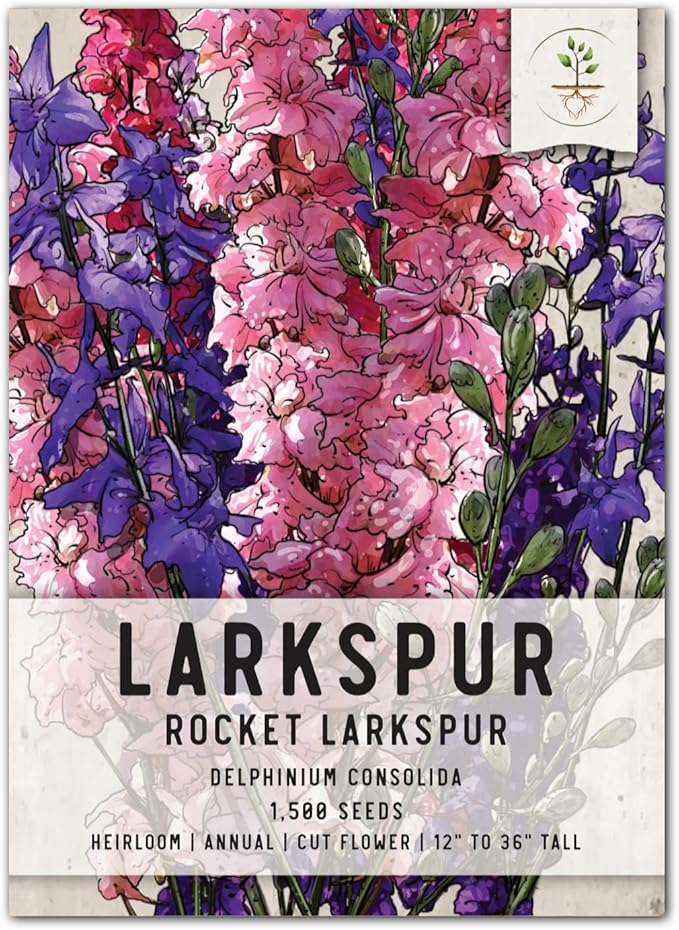 Seed Needs, Rocket Larkspur Seeds - 1,500 Seeds for Planting Delphinium consolida - Heirloom, Untreated & Open Pollinated - Beautiful Blooms in Pink, Blue, White & Indigo (1 Pack)