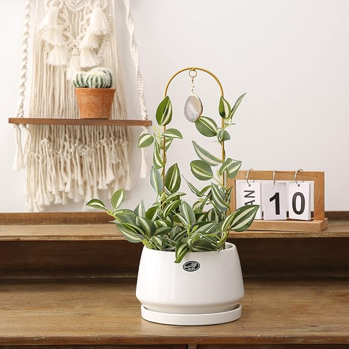 2PCS Small Plant Gold Trellis Indoor, Mini Metal Houseplant Decor Support for Potted Ivy Vine, Boho Garden Decorative Pot Climber with Agate for Climbing Hoya Pothos Philodendron Gift