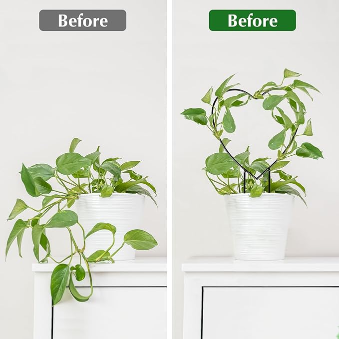 Hoya Trellis 3 Size Indoor Plants Flower Support Stakes Round or Heart Metal Trellis Set Garden Tool Accessories for Small Potted Vine Climbing Houseplants (BlackCH)