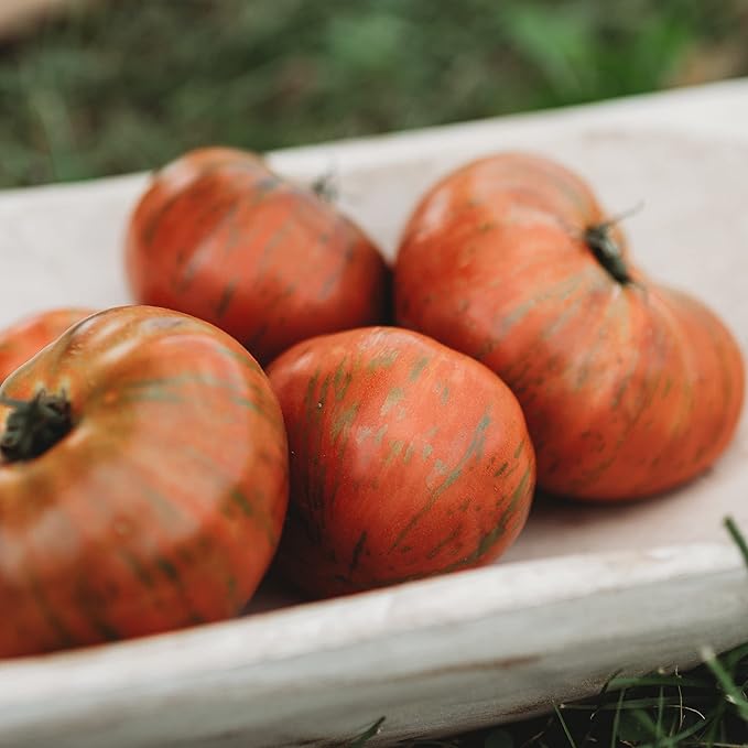 Chocolate Stripes Heirloom Tomato - 50 Seeds - Heirloom Chocolate Tomato Variety, Non-GMO Vegetable Seeds for Planting in The Home Garden, Thresh Seed Company