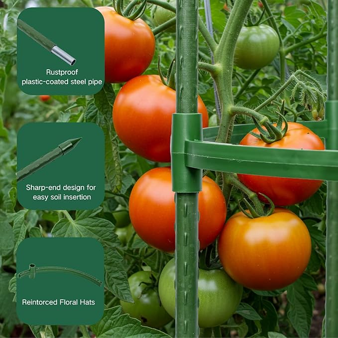 Tomato Cages for Garden&Pots, 4 Pack 50" Plant Support Trellis for Tomatoes, Cucumbers, Beans | Heavy-Duty Steel with Rust-Proof Coating | Garden Stakes for Outdoor Indoor Plants