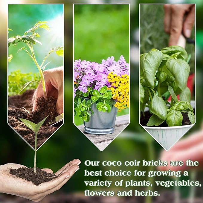 Halatool 3 Pcs Organic Coconut Coir Bricks for Plants, Compressed Coco Peat Coir Brick Coconut Fiber Substrate with Low EC & pH Balance, High Expansion Coconut Seed Starter Soil for Planting Flowers