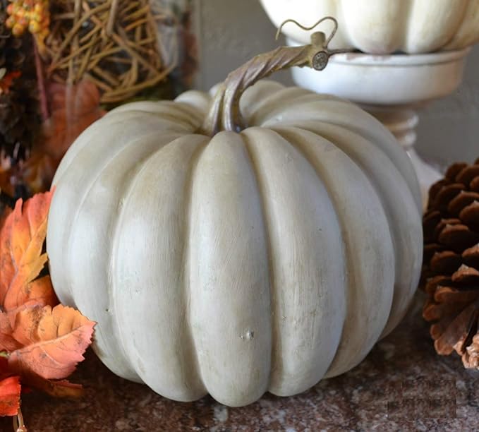 NIKA SEEDS - Seeds Vegetable Pumpkin Queensland Blue (Cucurbita Maxima) - 10 Seeds