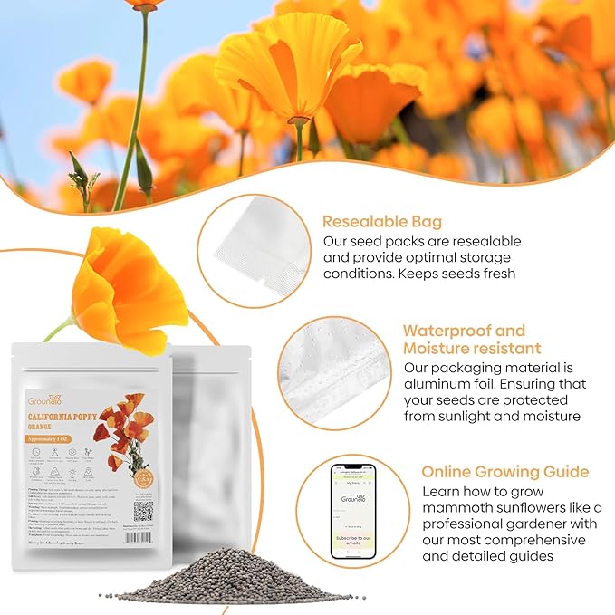 Groundio California Poppy Seeds, 1 Ounce Over 20000+ Seeds, Non-GMO | Heirloom | Sourced from USA- Eschscholzia Californica, USDA Zone 5-10