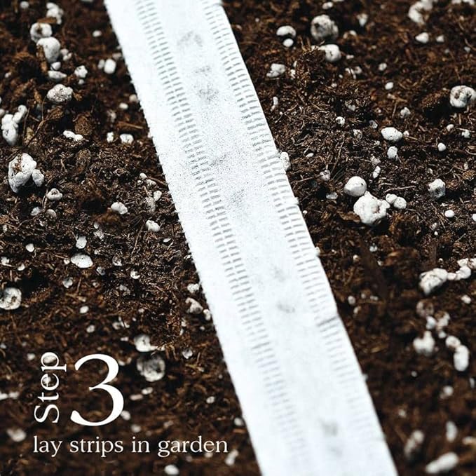 Park Seed Sow Effortless Collection Seed Tape – Rainbow Mix Beet, 15 Feet – Easy Planting, 5 Distinct Gourmet Varieties, Colorful Roots & Greens, Cool-Weather Crop, No Thinning, 50–55 Days to Maturity