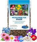 Partial Shade Wildflower Seeds -1 oz, Open-Pollinated Flower Seed Mix Packet, No Fillers, Annual, Perennial Wildflower Seeds Year Round Planting - 1 oz
